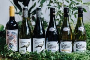 Mixed South African Wine x 6 | Grape Escapes